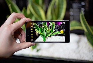 Những lưu ý để chụp ảnh macro đẹp hơn trên điện thoại