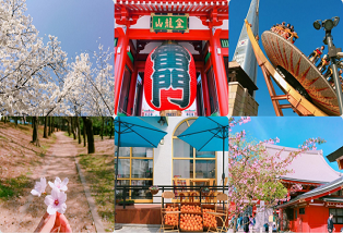 Cùng vivo khám phá cách chỉnh tone màu Nhật Bản đơn giản