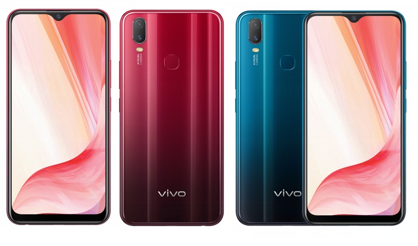 Cụm camera sau vivo Y11